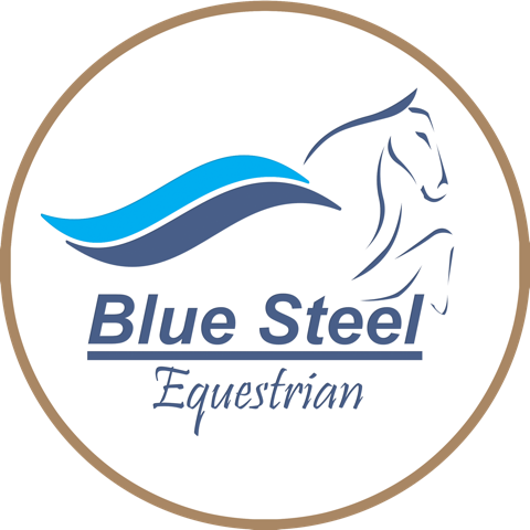 Horse Bridles